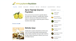 Desktop Screenshot of bitkicaylarininfaydalari.com